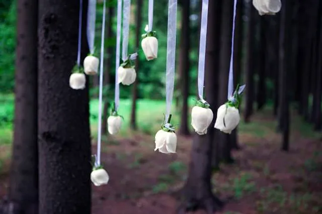 Carlisle Reservation