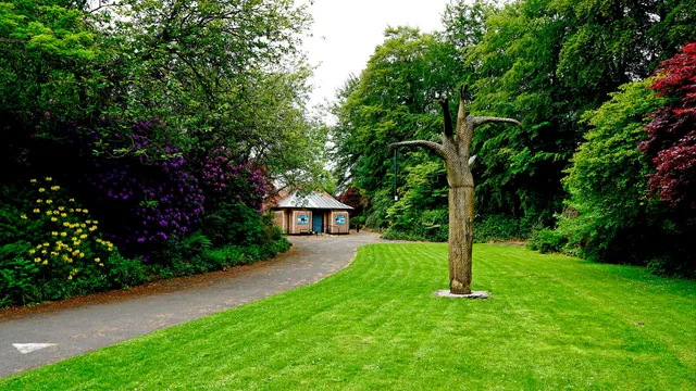 photo-2