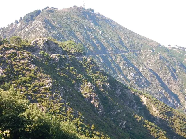 photo-1