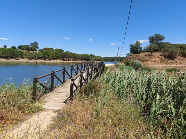 Albufeira dos Patudos