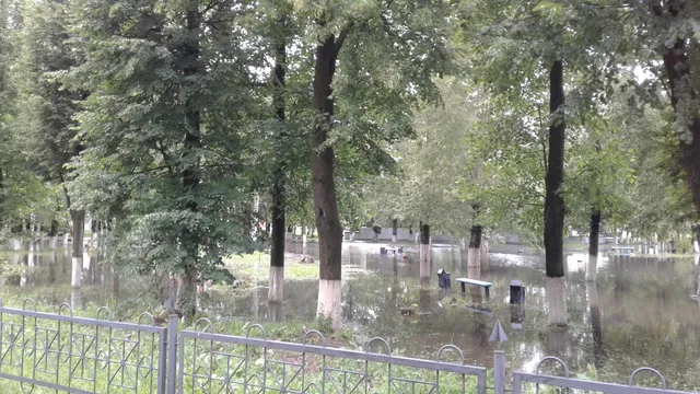 Istoriko-Khudozhestvennyy Muzey Medvedevskogo Munitsipal'nogo Rayona