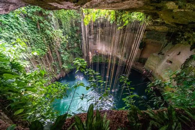 Sacred Cenote