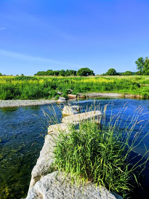 Lakeview Wildlife Management Area