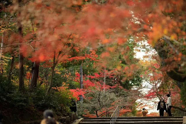 Maple Approach (Yakui-mon Gate)