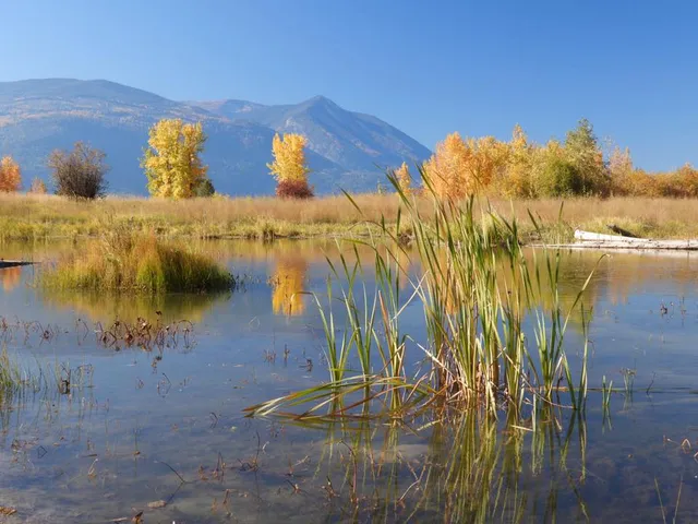 Area C (Summit Creek/Leach Lake)