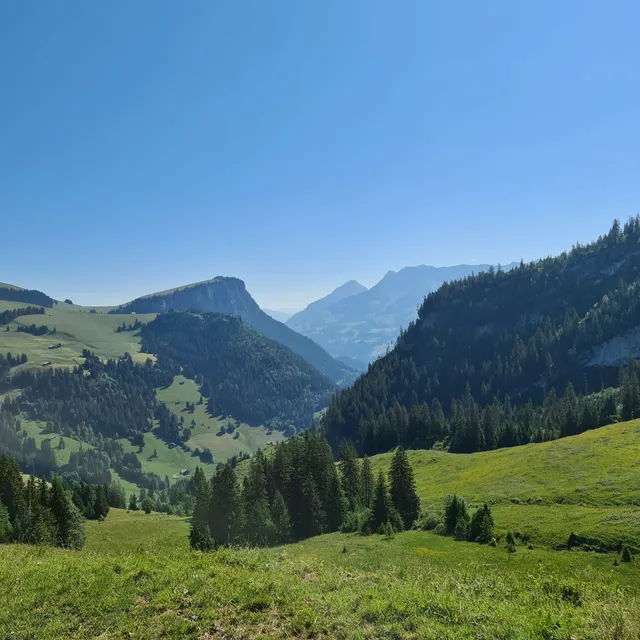 Diemtigtal - Grimmialp