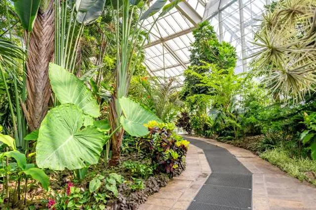 Play La Ploen Flora Park