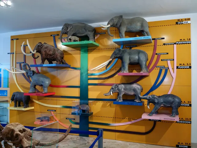 Museum of Geology "G. G. Gemmellaro"