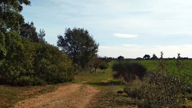 San Michele Salentino