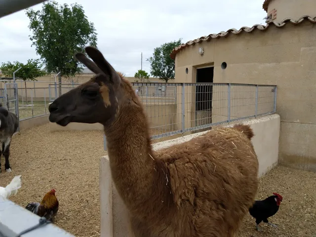 Zoológico La Era de las Aves