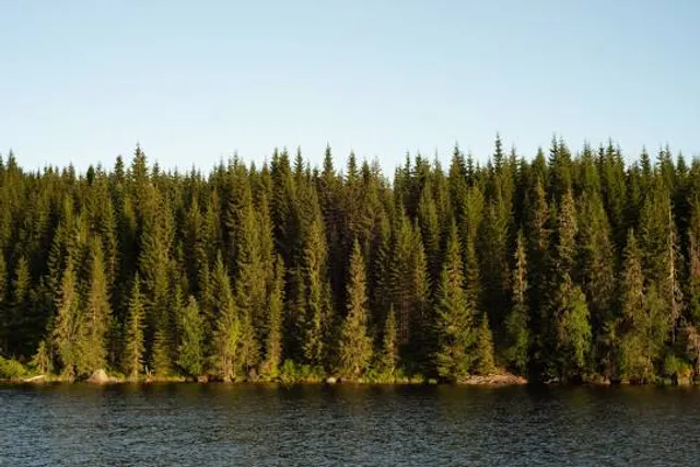 photo-1