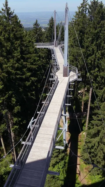 skywalk allgäu Wald Abenteuerwelt