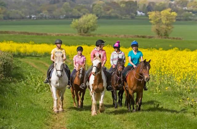 Llangorse Multi Activity Centre