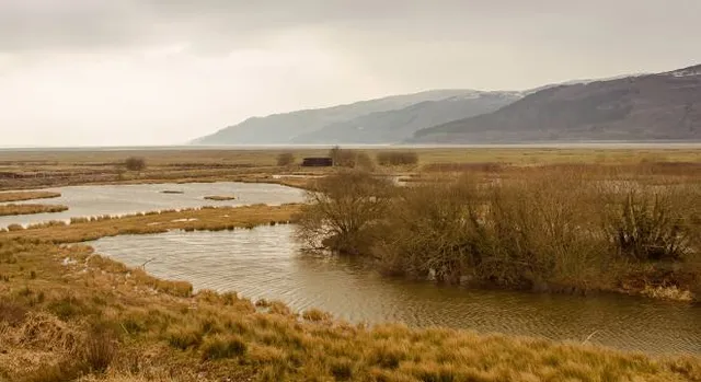 Dyfi National Nature Reserve