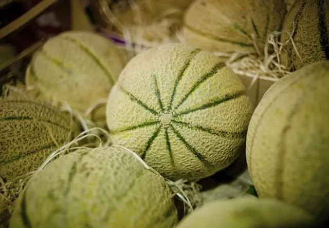 Via Ferrata de Cavaillon