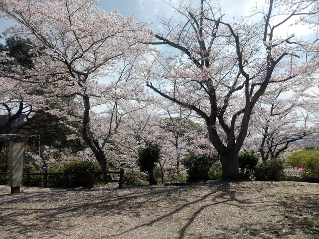 Wakayama Park