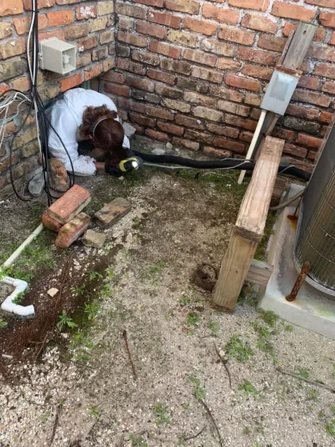 Coast2Coast Wildlife Solutions