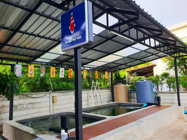 The​ Nine​ Fish​ Farm ฟาร์มปลาคาร์ฟหมายเลข 9