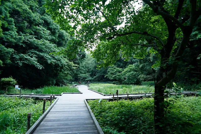 Aquatic Plant Botanical Garden