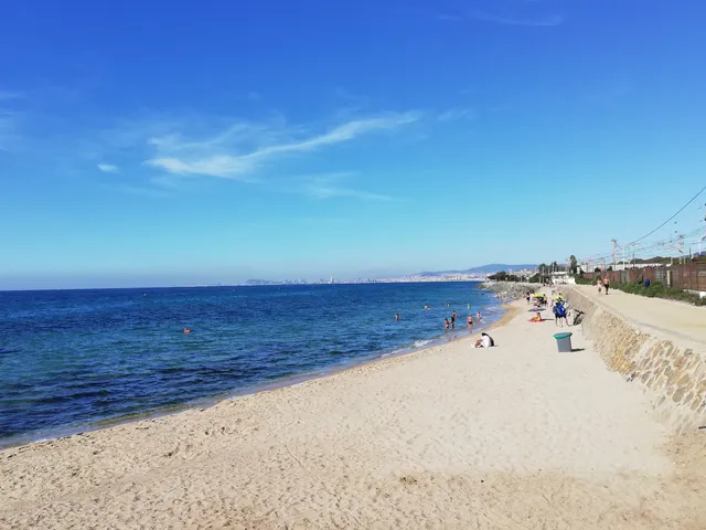 Playa de la Descàrrega