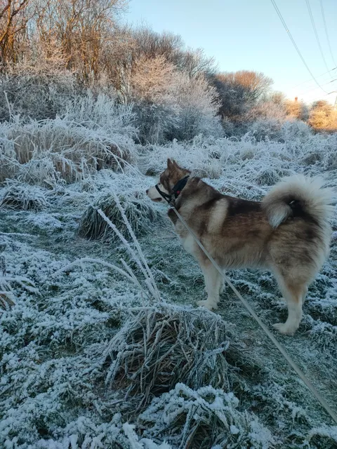 Jenny’s Well Nature Reserve