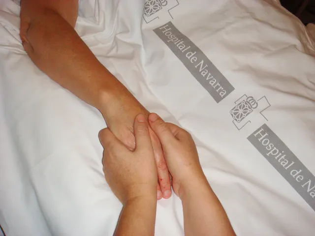 Navarra Hospital Complex - Navarra Hospital