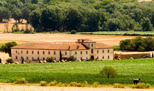Torremocha de Jarama
