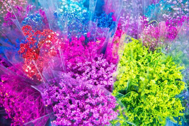 Mong Kok Flower Market