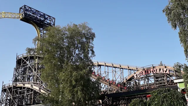 photo-1