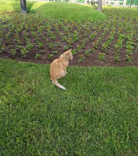 photo-1