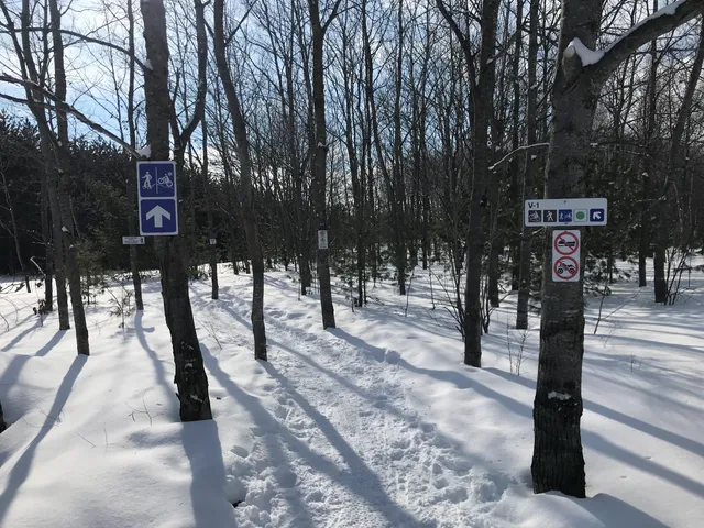 Saint-Félix-de-Valois