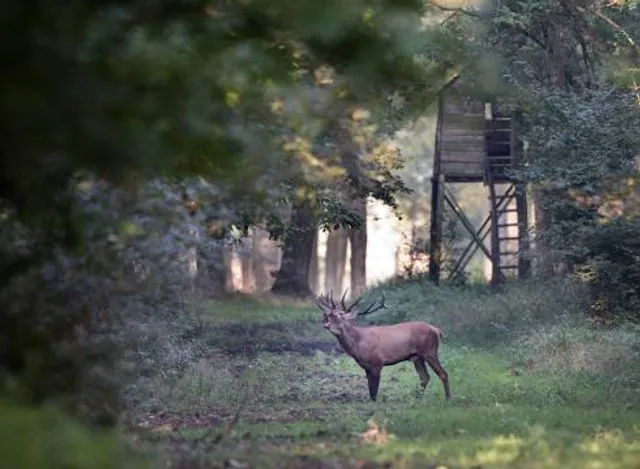 Royal River Park / Wildlife Refuge .