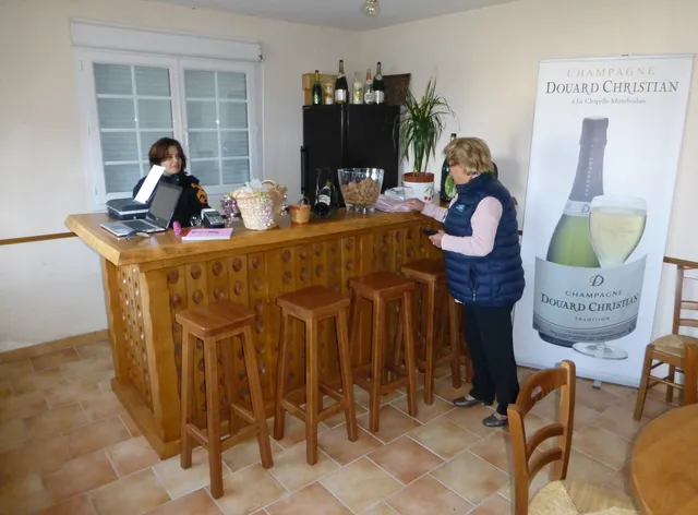 Chambres D'hotes & Champagne Douard