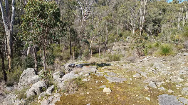photo-2