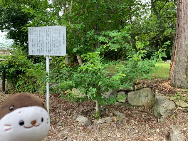 Iba-goten Palace Historic Ruins