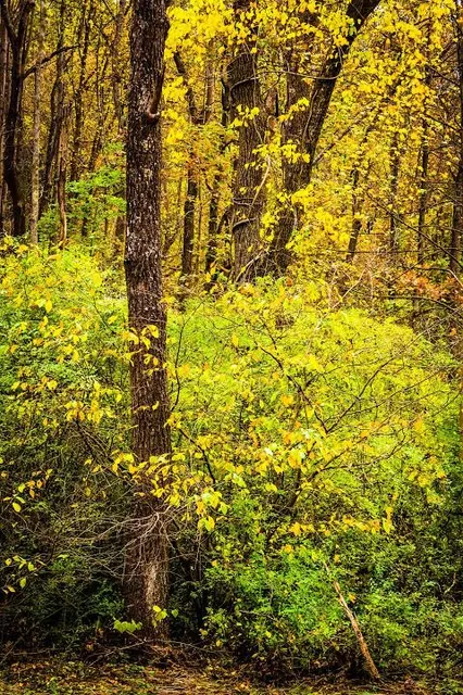 Richard M. Nixon County Park