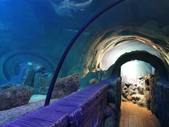 SEA LIFE Blackpool