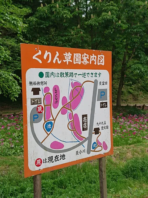 Takagi Kurinsoen Primrose Garden