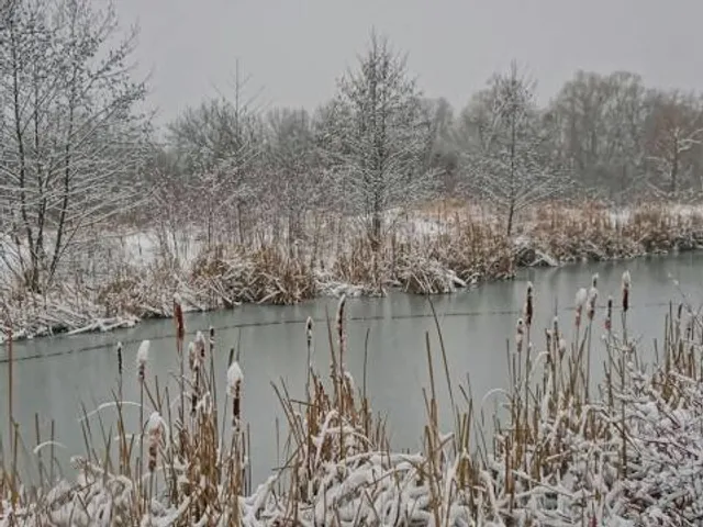 Meadowvale Conservation Area