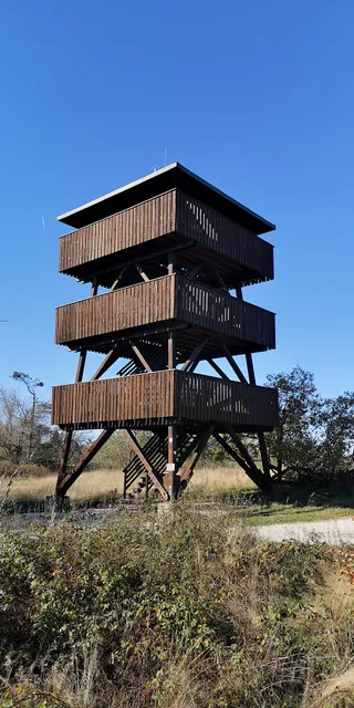 Aussichtsturm Erbeskopf