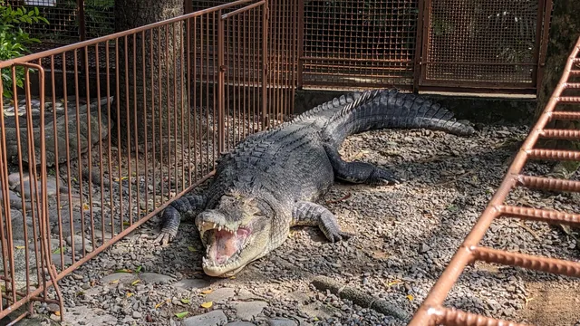 Atagawa Tropical & Alligator Garden