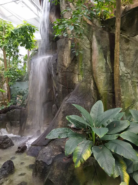 La Serre Amazonienne