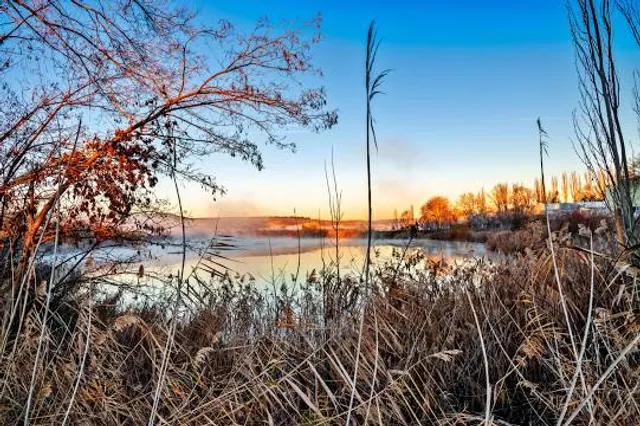 Velilla de San Antonio