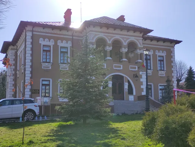 Ion Irimescu Art Museum