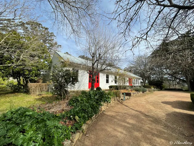 photo-1