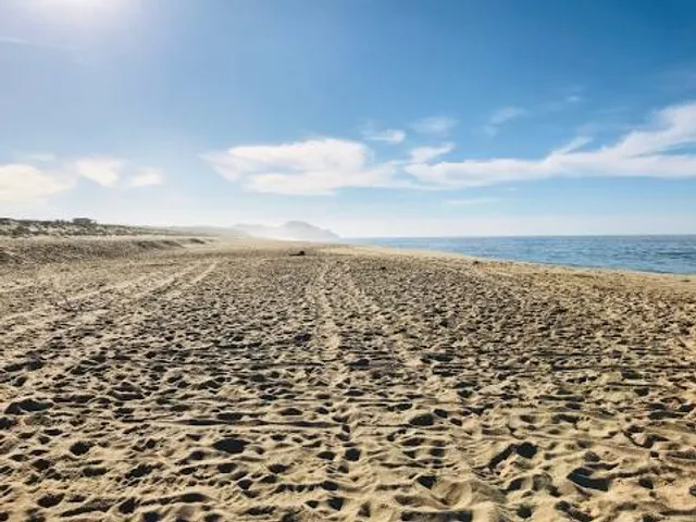 Tortugueros Las Playitas A.C.