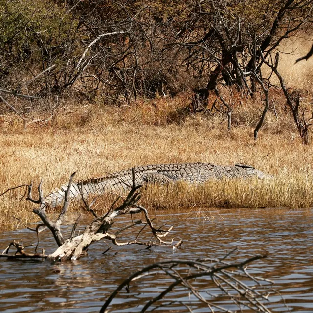 Ephraim Mogale Local Municipality