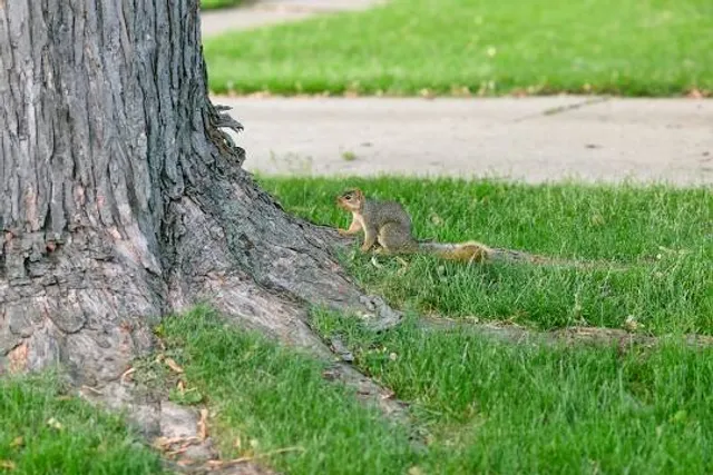 Hononegah Forest Preserve