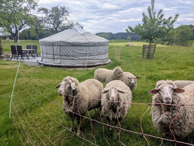 Ferienwohnung Hof Zürnen
