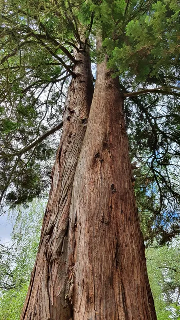 Arboretum Domažlice